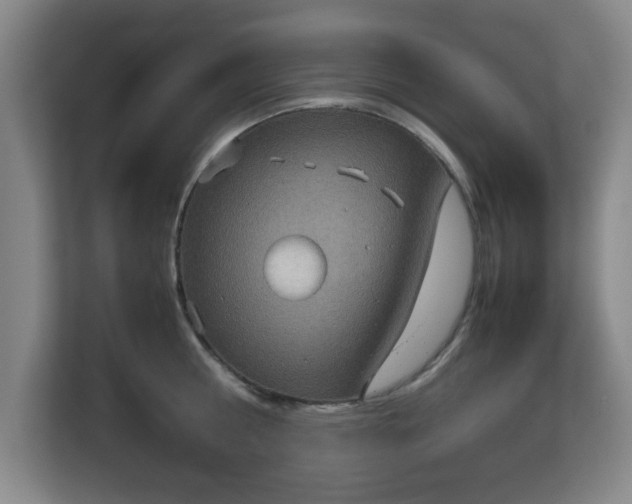 X0000113110810200909041245