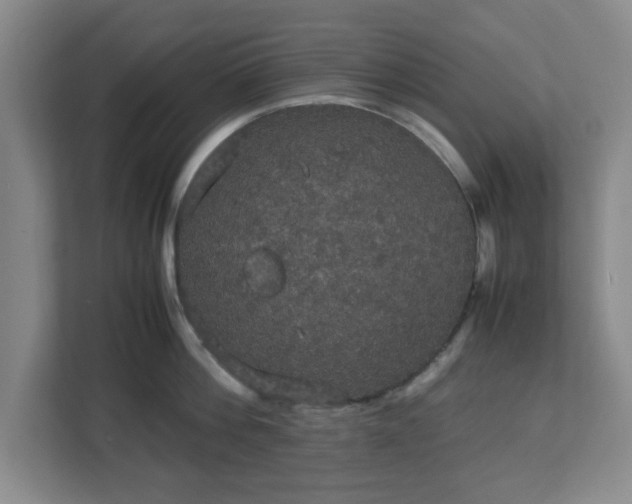 X0000113110812200909041245