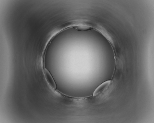 X0000113110813200909041245