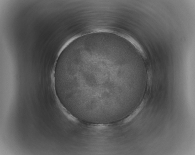 X0000113110814200909041245