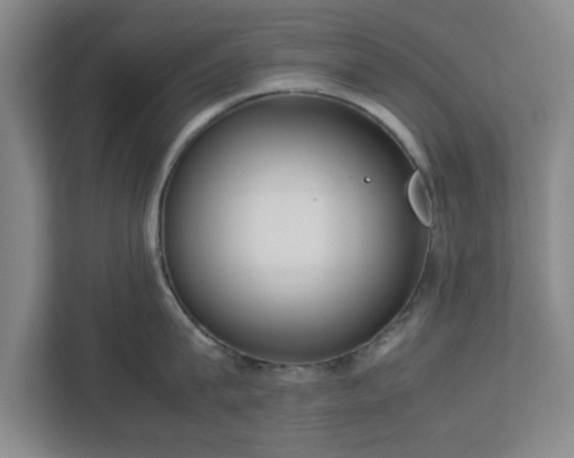 X0000113110815200909041245