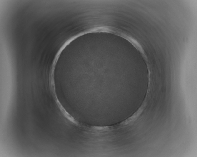 X0000113110816200909041245