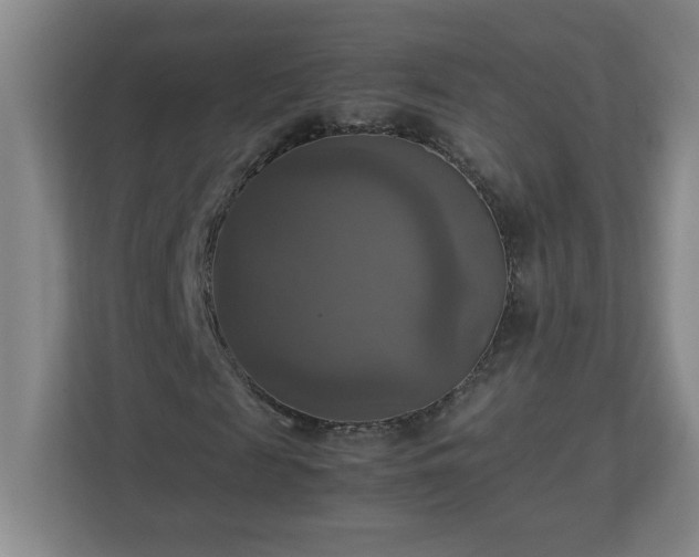 X0000113110817200909041244
