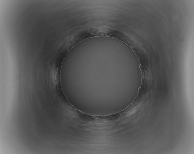 X0000113110818200909041244