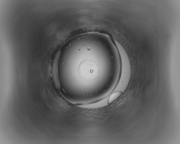 X0000113110820200909041244