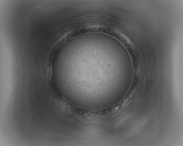 X0000113110821200909041244