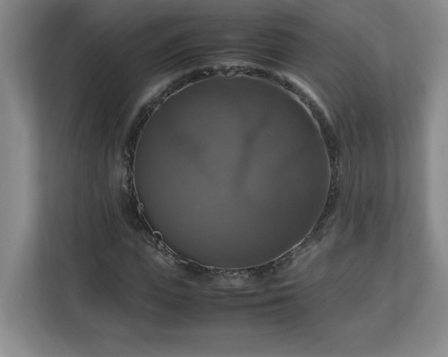X0000113110823200909041244