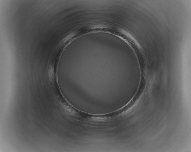 X0000113110825200909041244