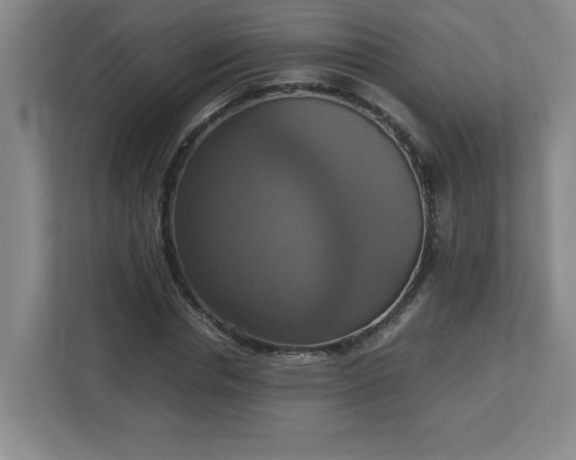 X0000113110826200909041244