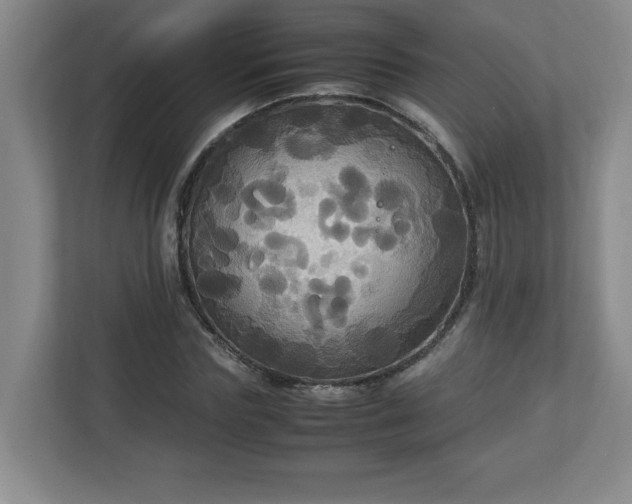 X0000113110827200909041244