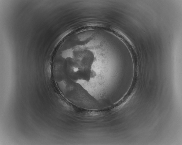 X0000113110829200909041244