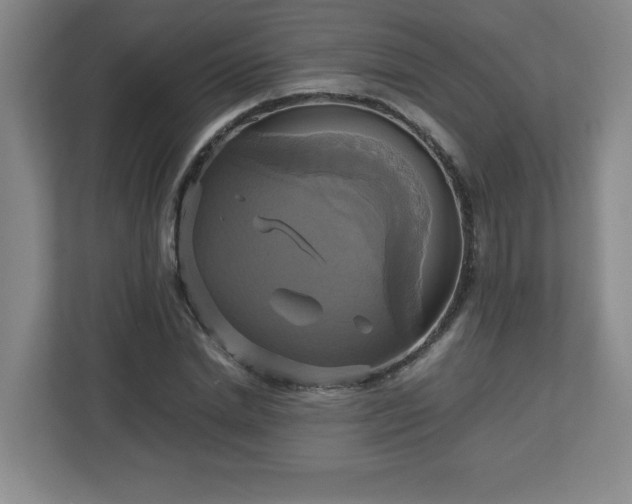 X0000113110830200909041244