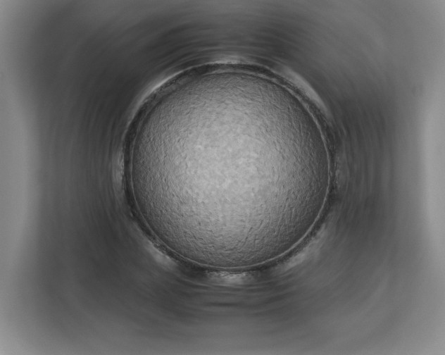 X0000113110831200909041244