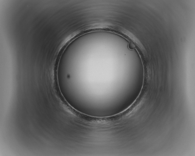 X0000113110834200909041244