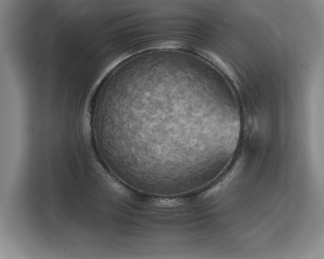 X0000113110835200909041244