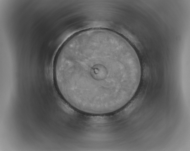 X0000113110836200909041244