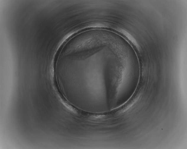X0000113110837200909041244