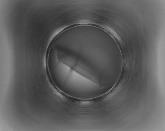 X0000113110839200909041244