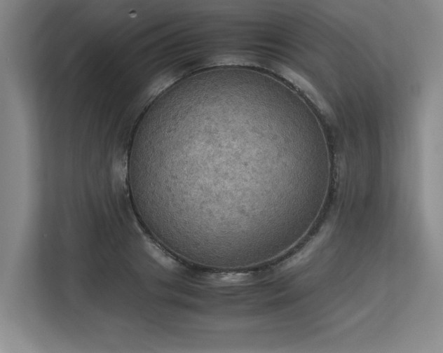 X0000113110841200909041244