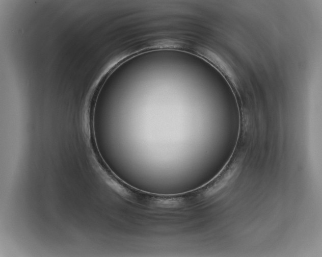 X0000113110843200909041244