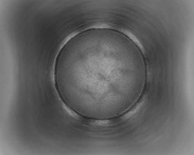 X0000113110845200909041244