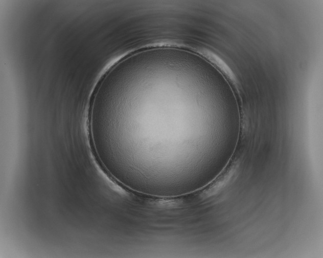 X0000113110847200909041244