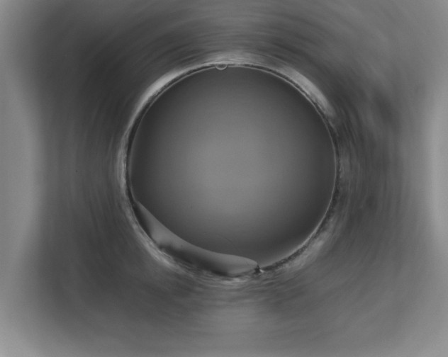 X0000113110854200909041244