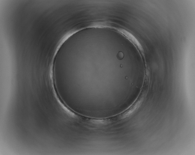 X0000113110855200909041244