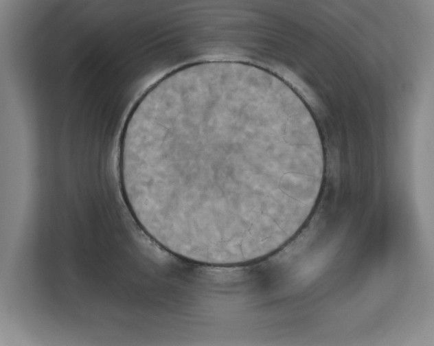 X0000113110856200909041244