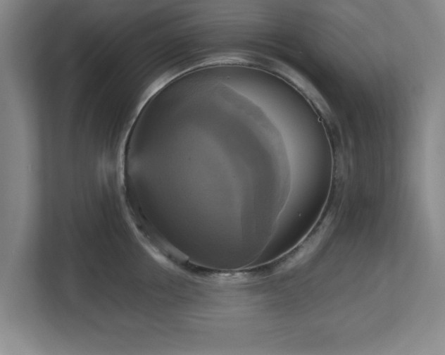 X0000113110858200909041244