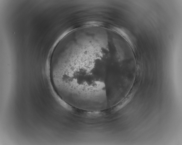 X0000113110859200909041244