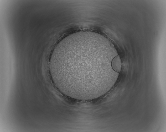 X0000113110865200909041244