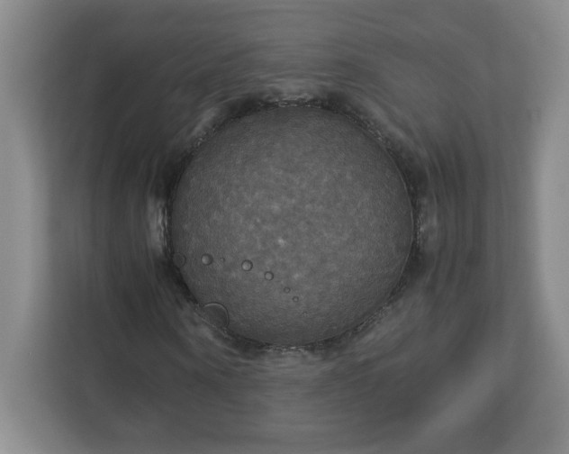 X0000113110866200909041244