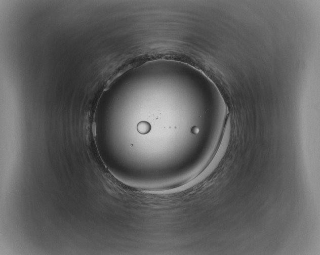 X0000113110868200909041244