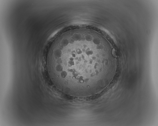 X0000113110871200909041244