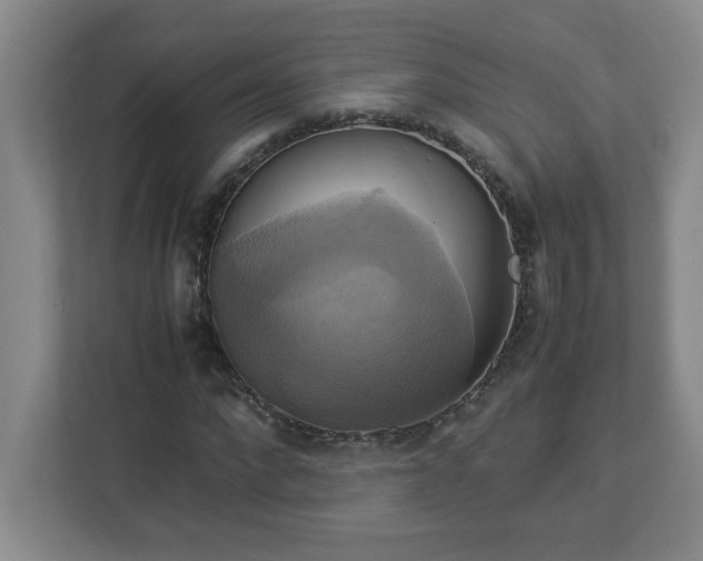 X0000113110872200909041244