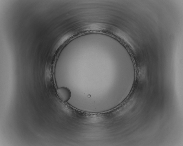 X0000113110874200909041244