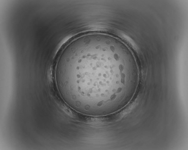 X0000113110875200909041244