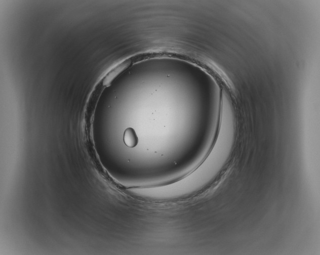 X0000113110876200909041244
