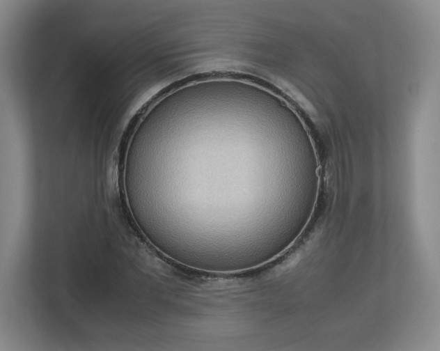X0000113110877200909041244