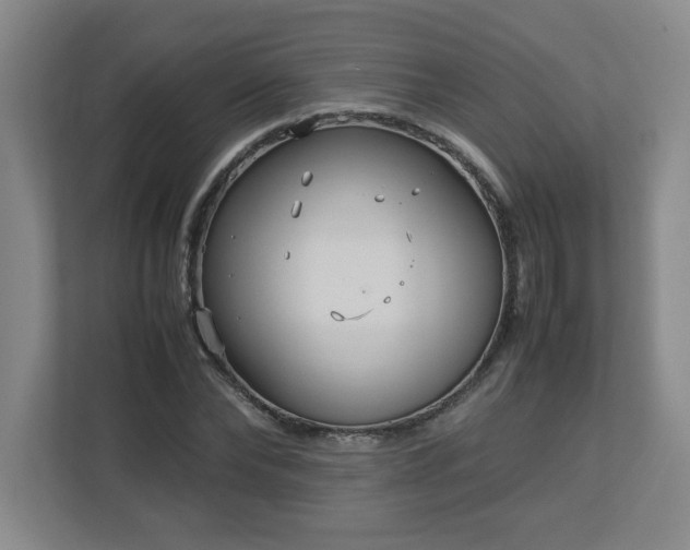 X0000113110878200909041244