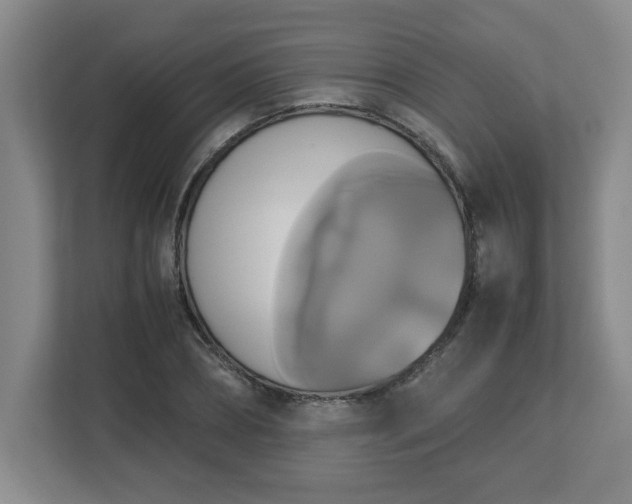 X0000113110882200909041244