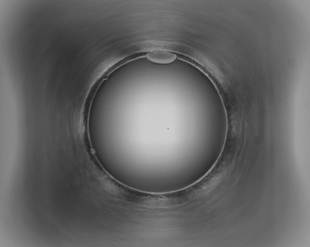 X0000113110885200909041244
