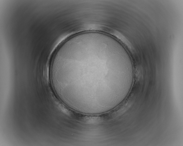 X0000113110886200909041244