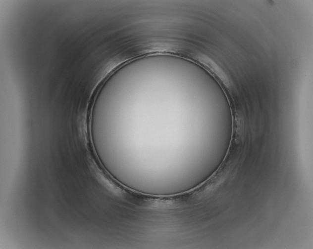 X0000113110890200909041244