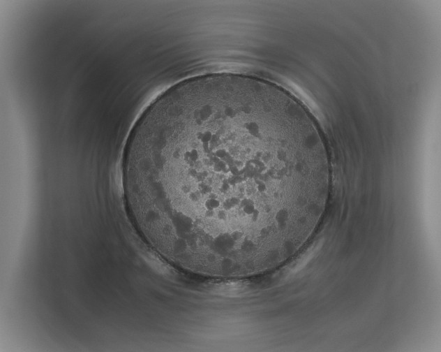 X0000113110891200909041244