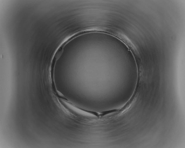 X0000113110892200909041244