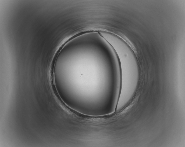 X0000113110893200909041244