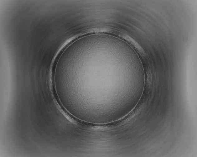 X0000113110894200909041244