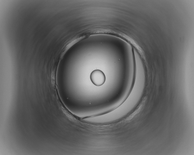 X0000113110897200909041244